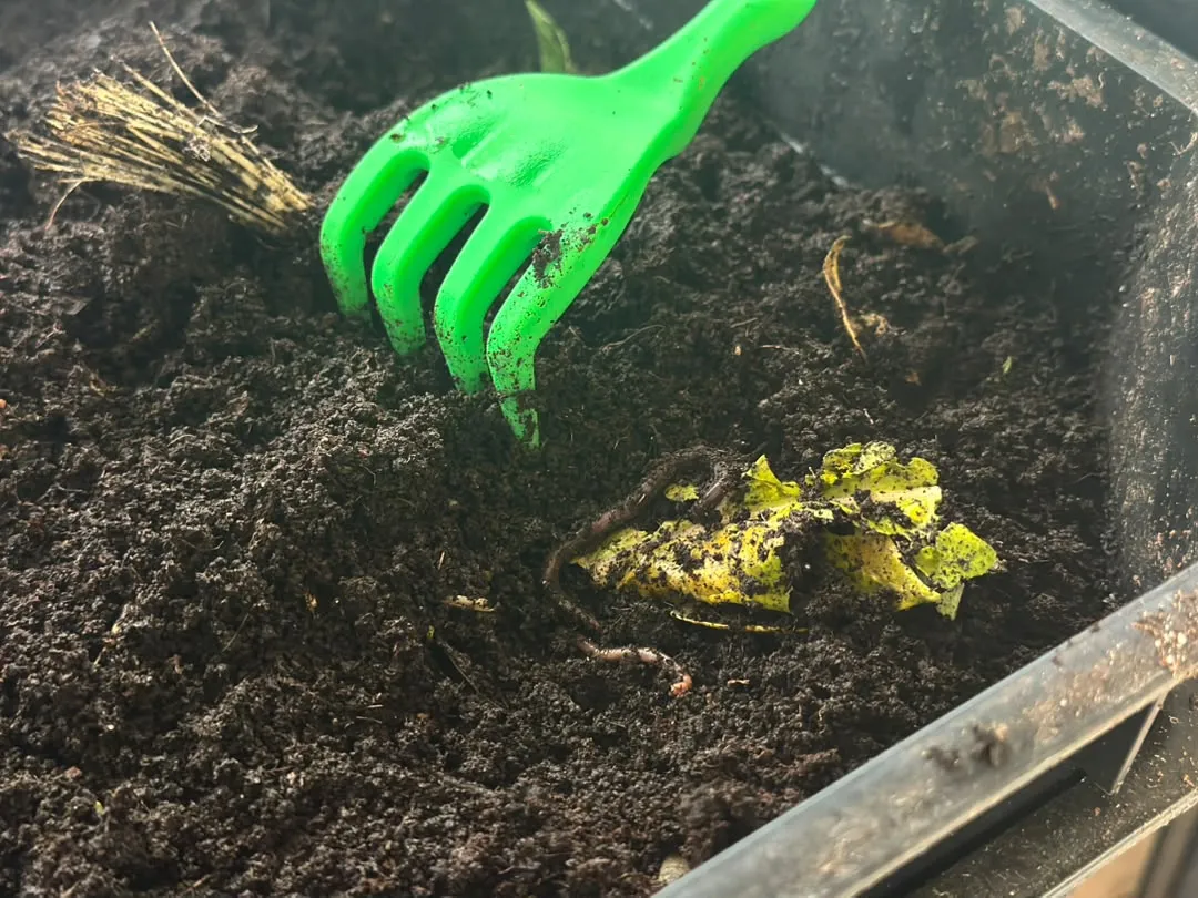 Vermicompost