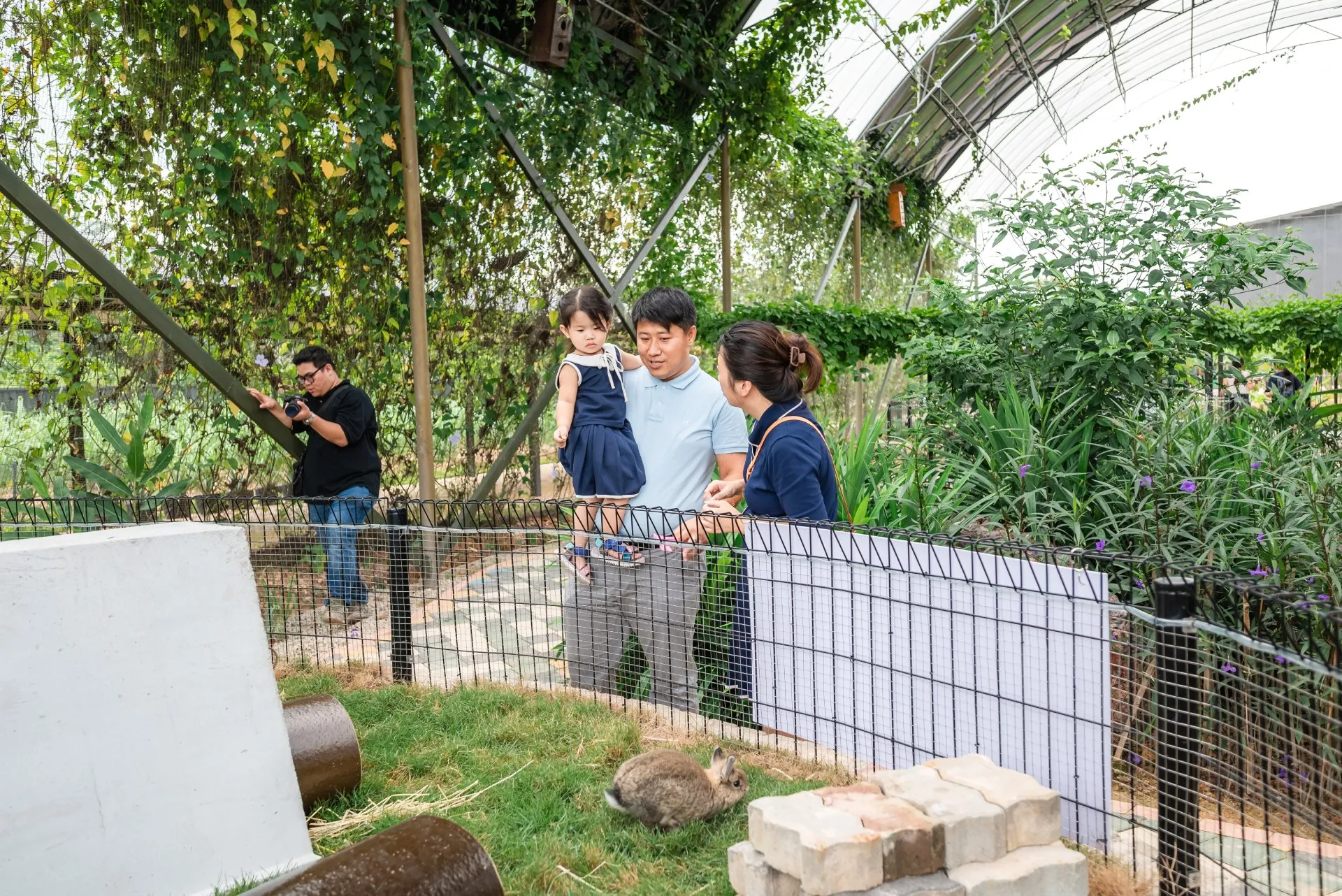 Rabbit Farm & Bird Aviary