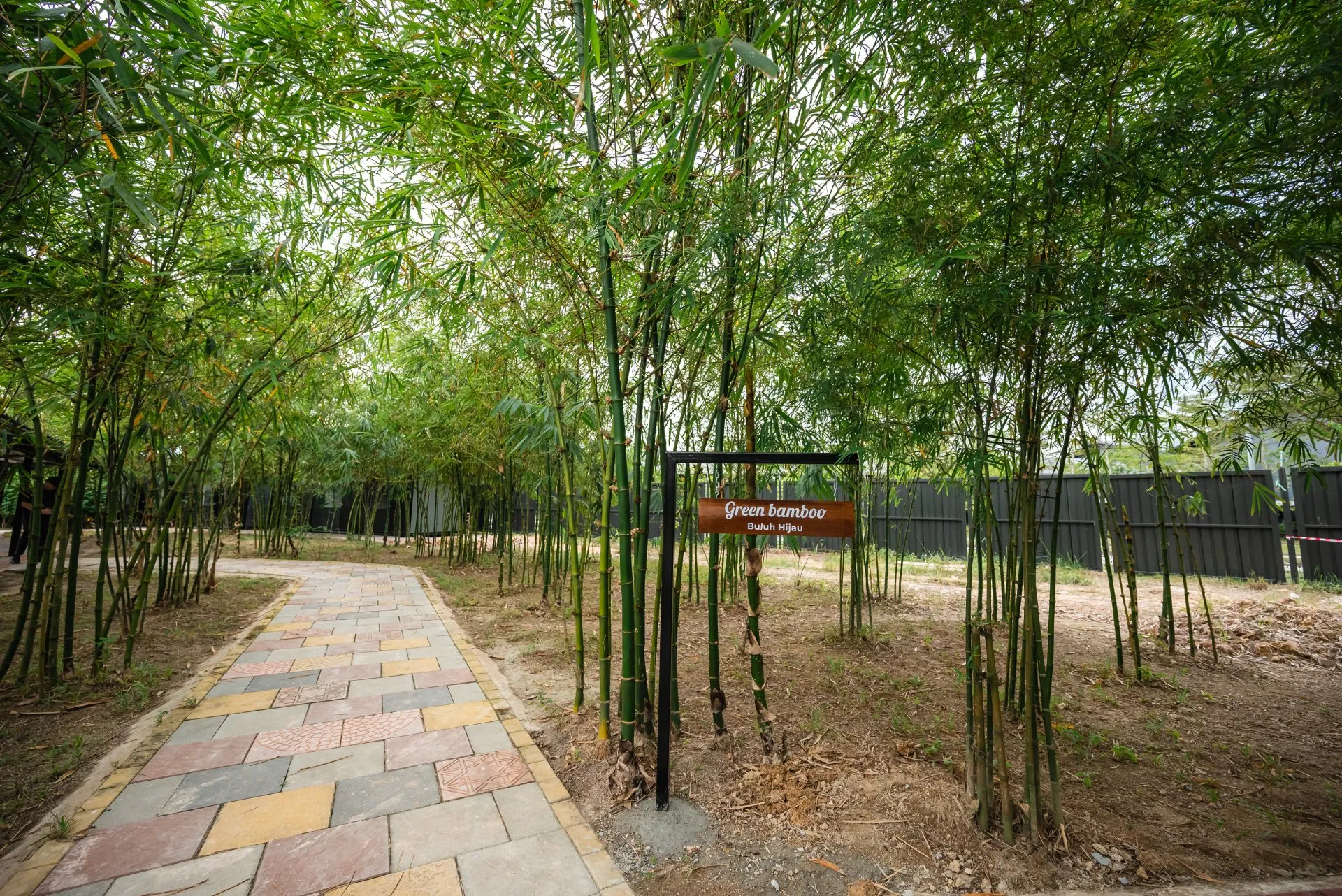 Bamboo Walk