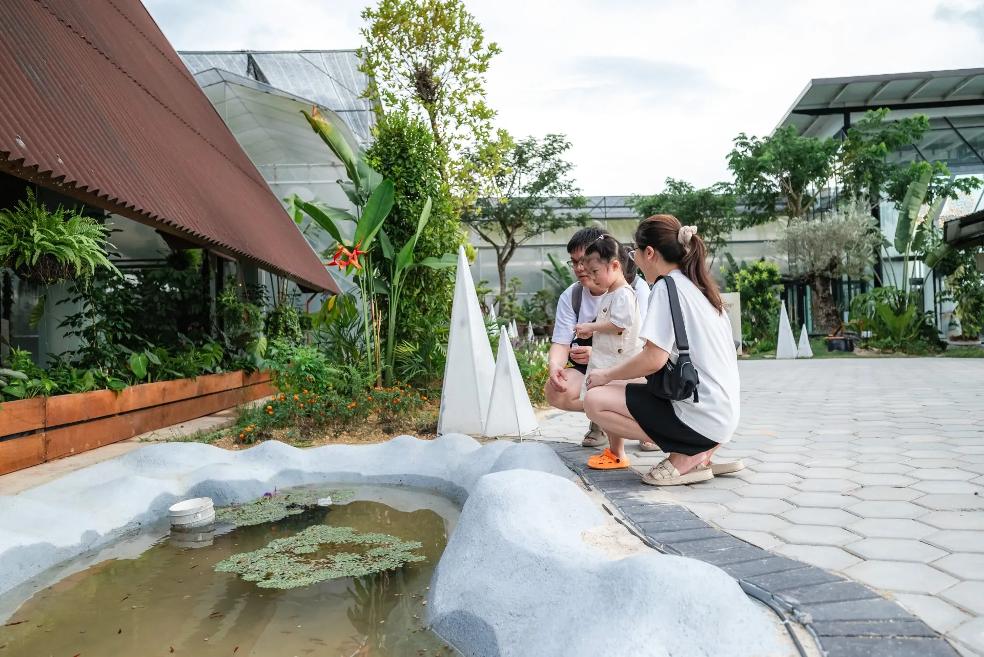 Fish Pond