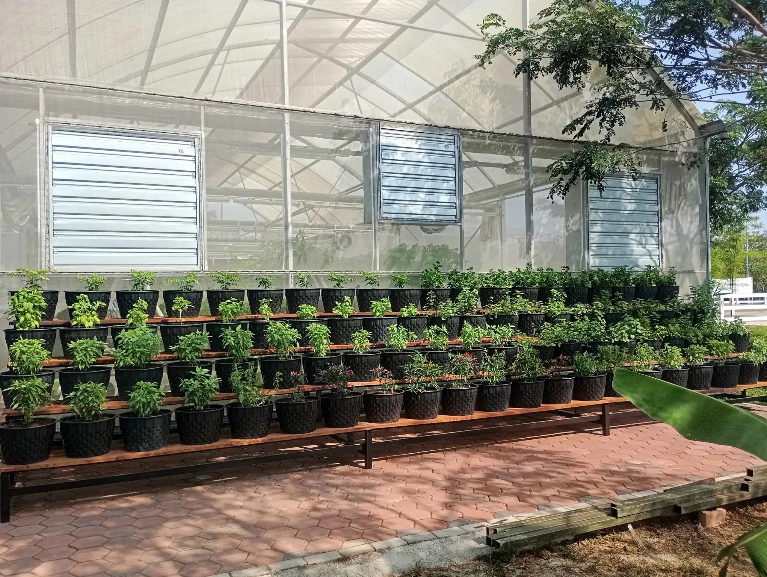 Hydroponics