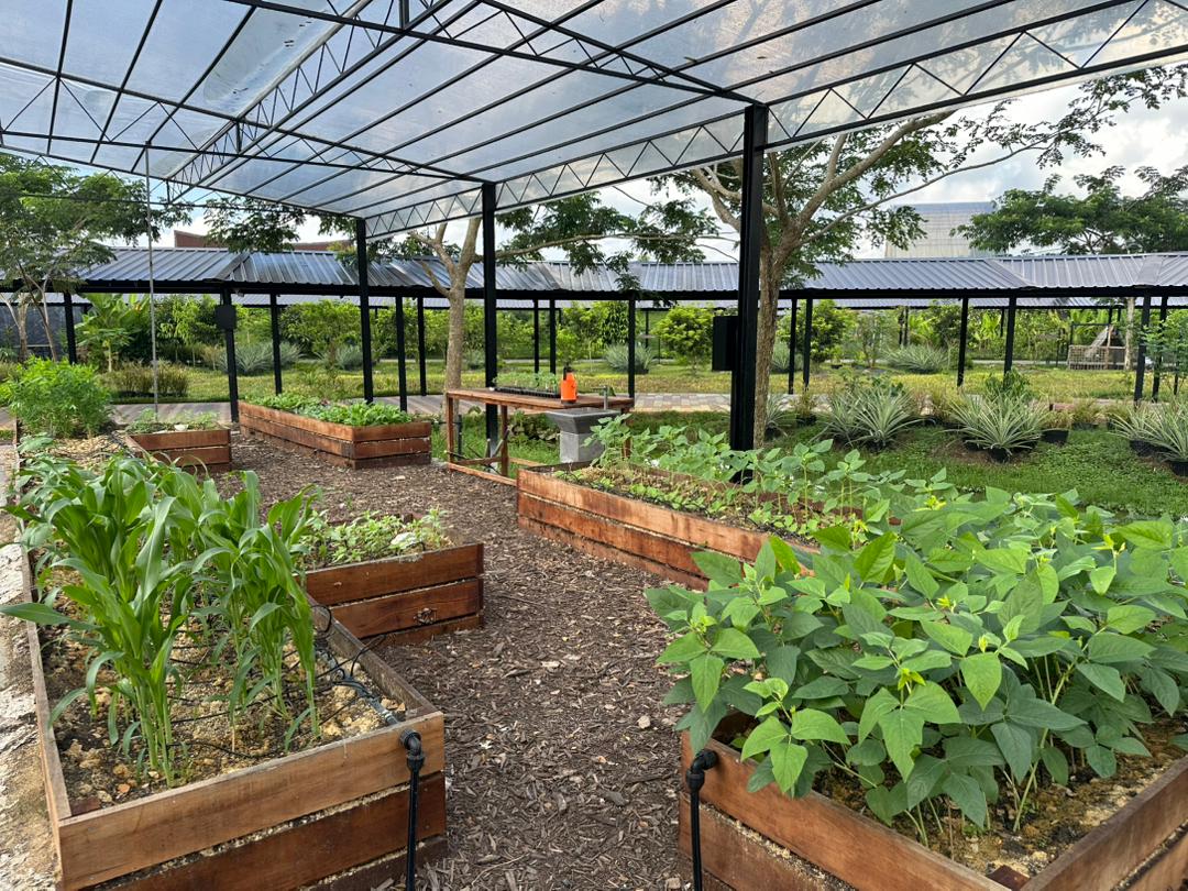 Living Ground